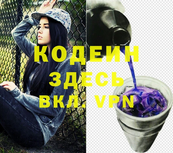 индика Арсеньев
