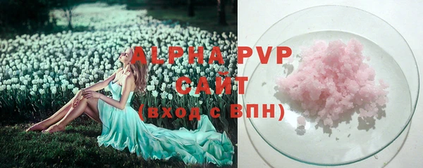 индика Арсеньев