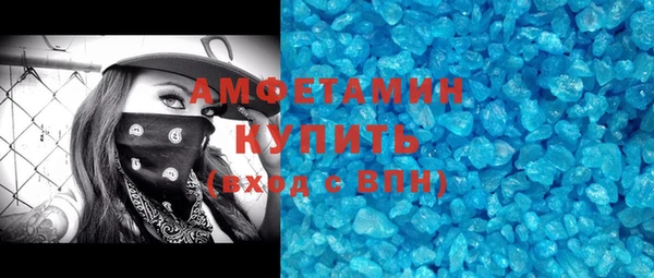 индика Арсеньев