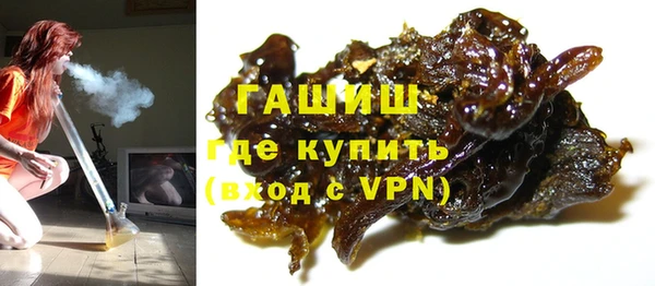 индика Арсеньев