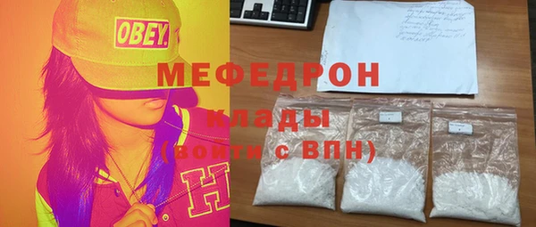 индика Арсеньев