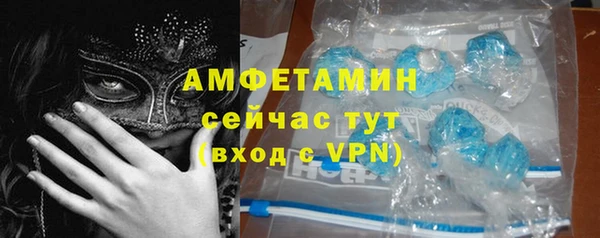 индика Арсеньев