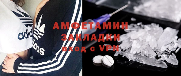 индика Арсеньев